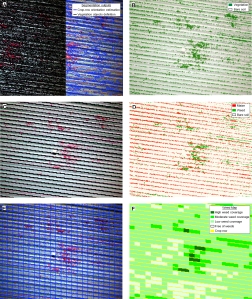Partial views of the Object-based image analysis procedure developed for weed mapping in maize crops